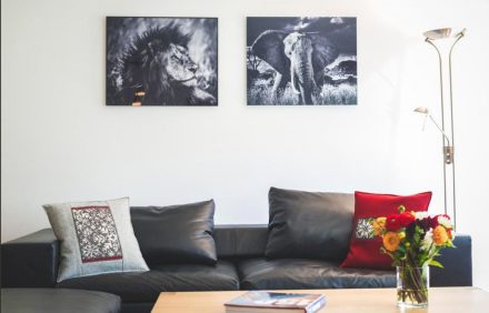 Apartment Nevoria