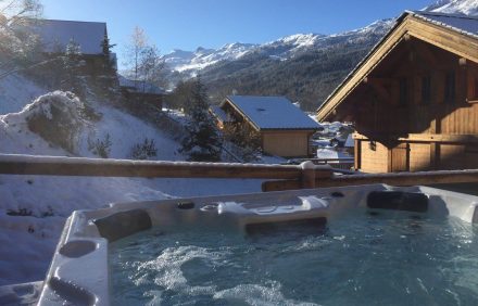 Chalet Élan