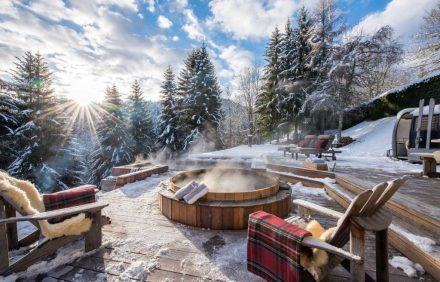 Chalet Polaris